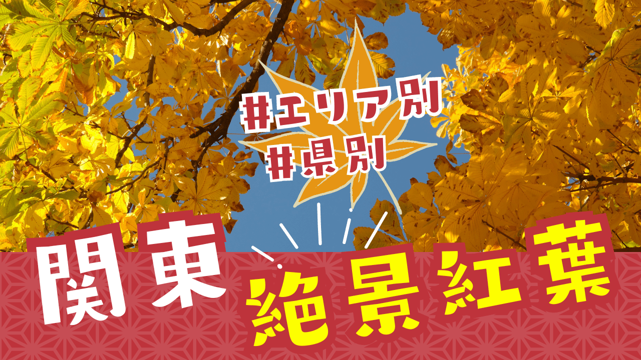 関東　紅葉　アイキャッチ